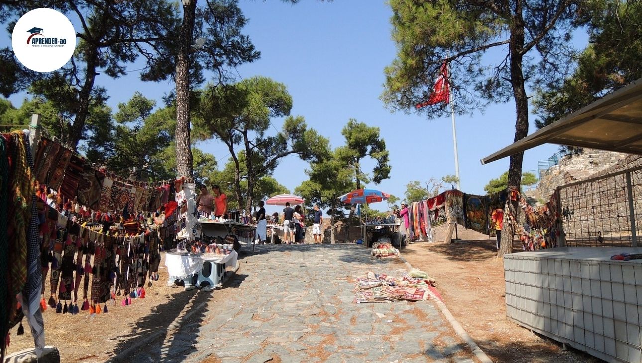 Fiscalização e Inspeção das Atividades Económicas Municipais