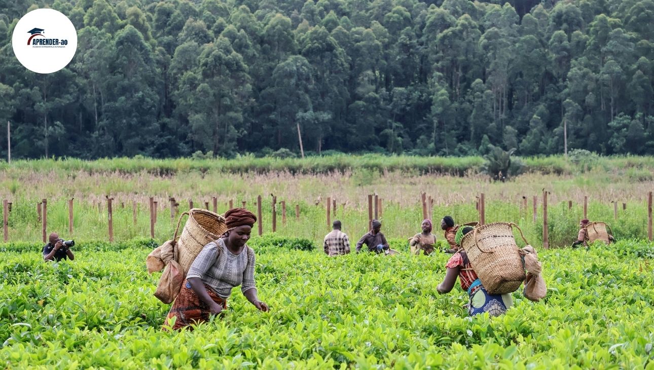 Liderança e Gestão de Equipas no Espaço Rural